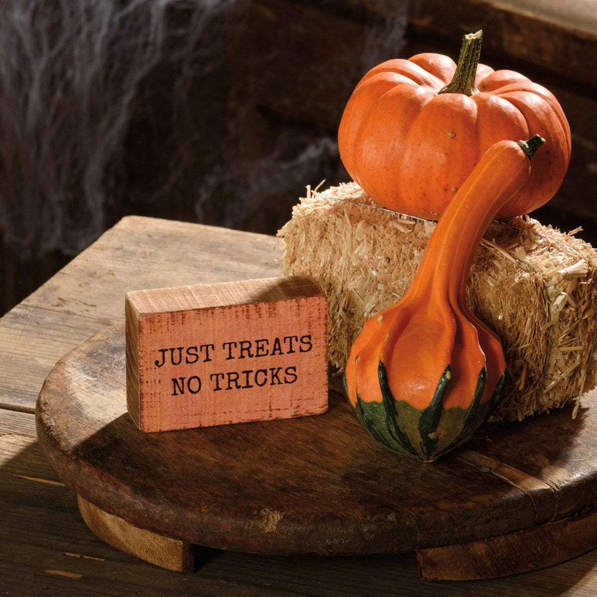 Mini Just Treats No Tricks Block Sign