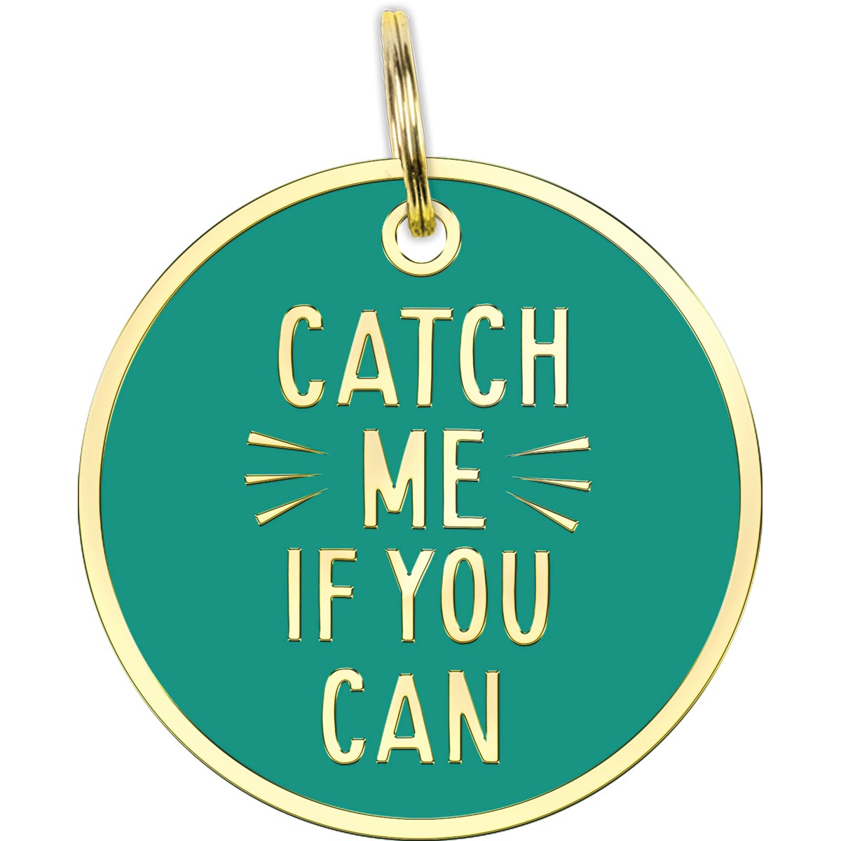 Catch Me Collar Charm
