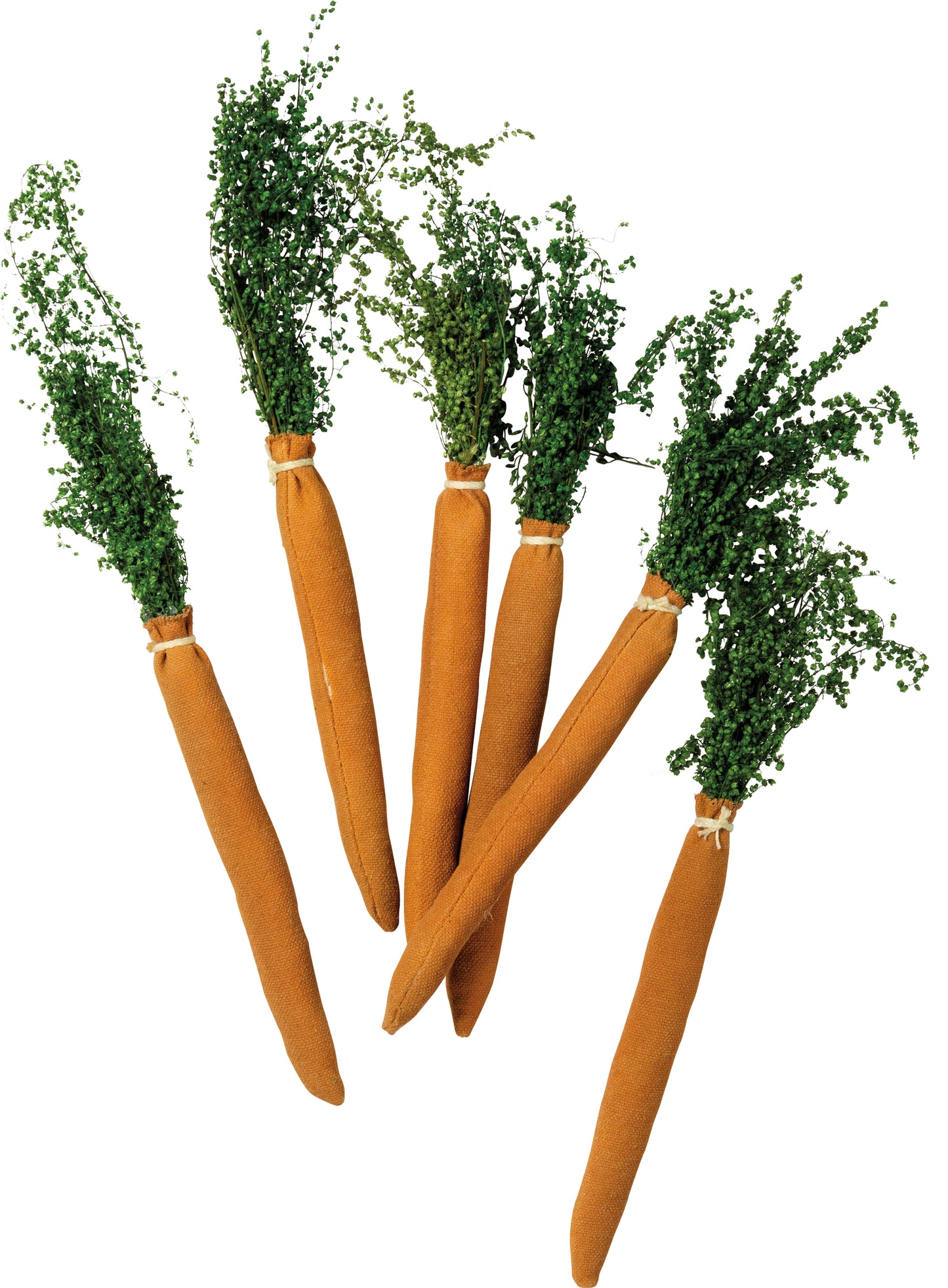 Set Of Primitive Carrots